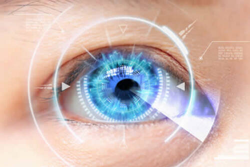 虹膜識別技術及其應用